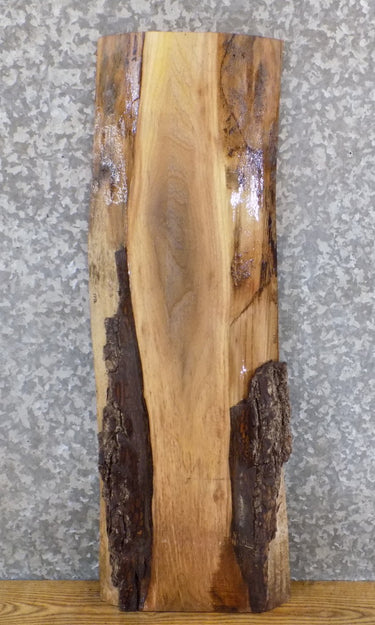 Salvaged Natural Edge Black Walnut Side/Entry Table Top Slab 1748